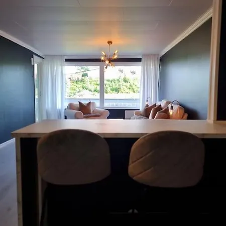 Nyoppusset Naer Aker Og Sentrum