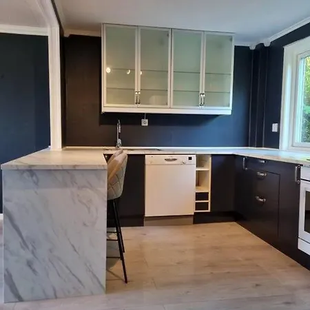 Nyoppusset Naer Aker Og Sentrum Апартаменты Стур